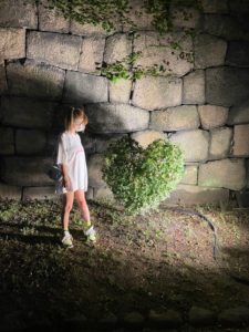 FX レンジ相場とトレンド相場