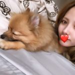 FXで時間の削減と最適化！