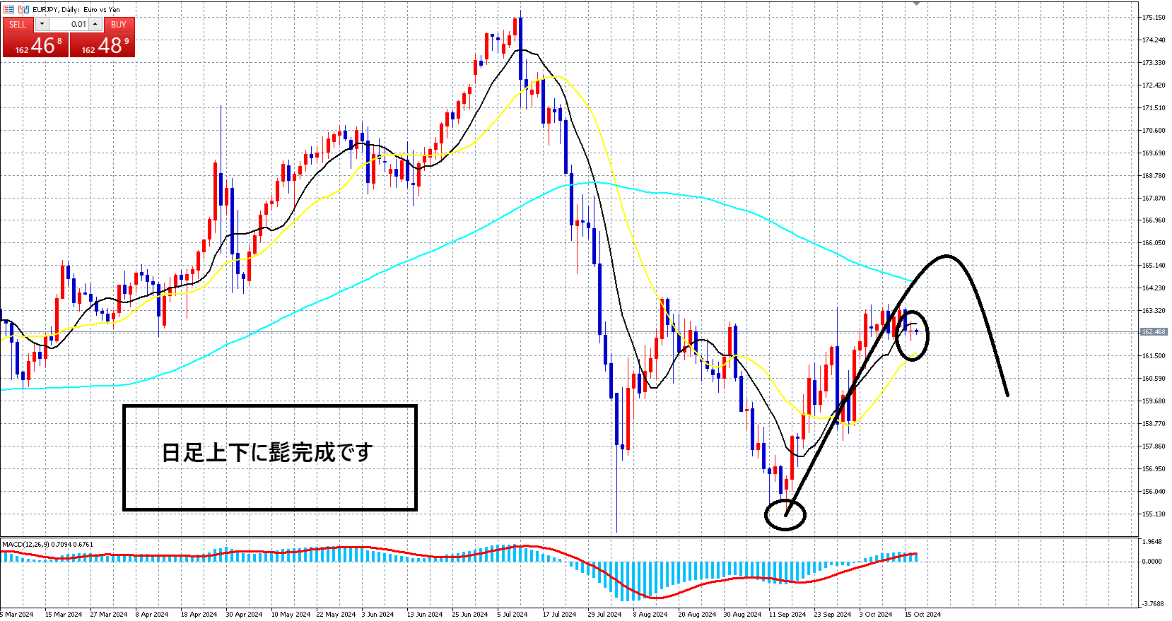 クロス円　今日は続落か！？